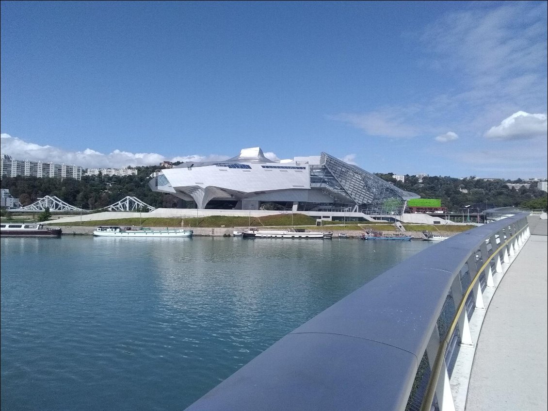 Confluence à Lyon sur la passerelle Raymond Barre.