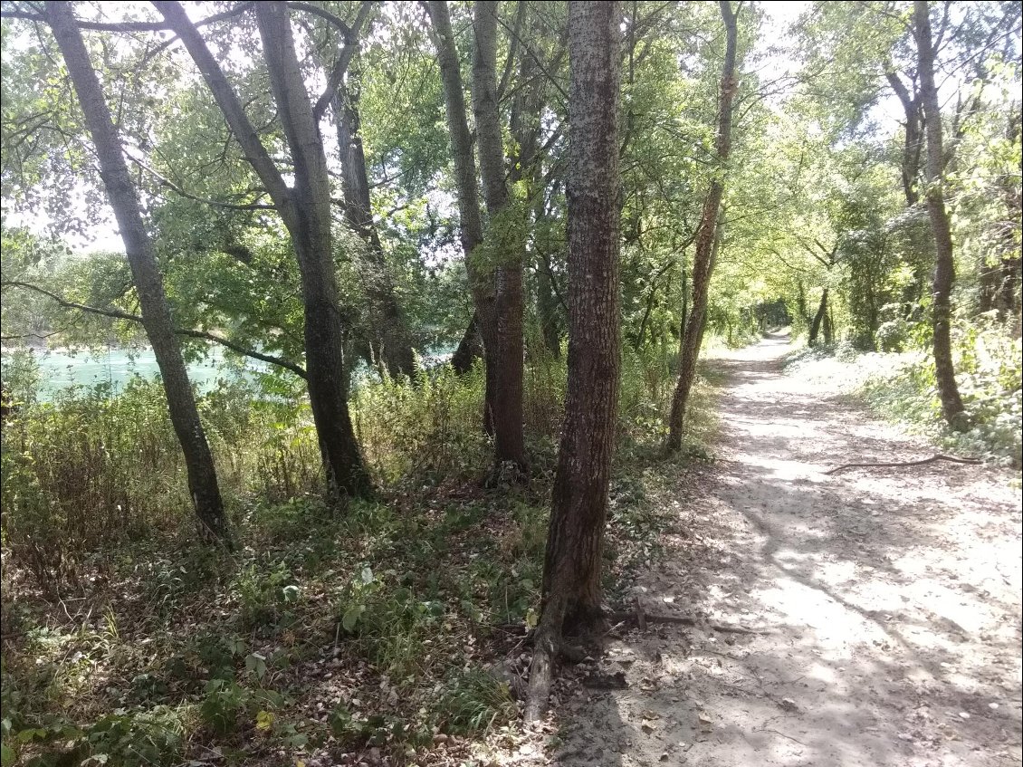 Déjà dans les chemins à hauteur de Feyzin