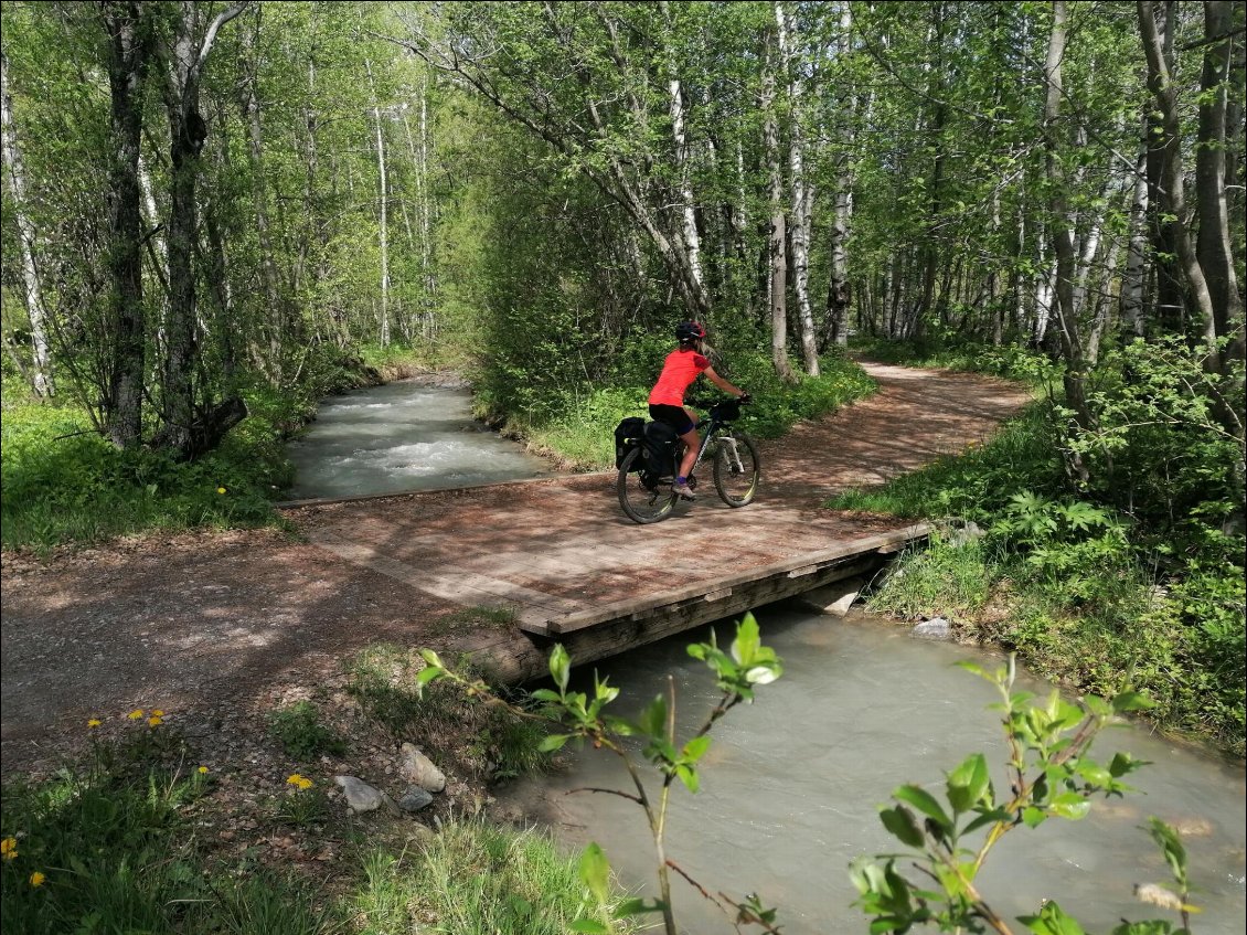 Le long de la Guisane