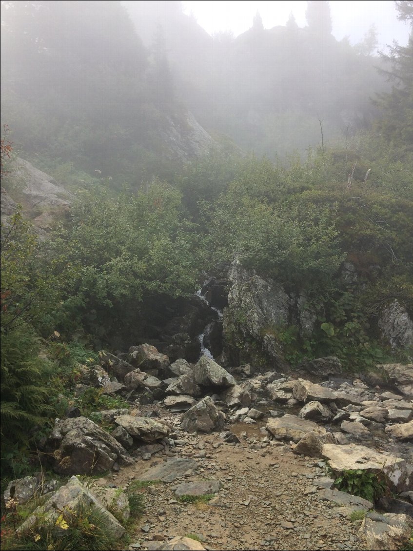 et le brouillard dans la descente
