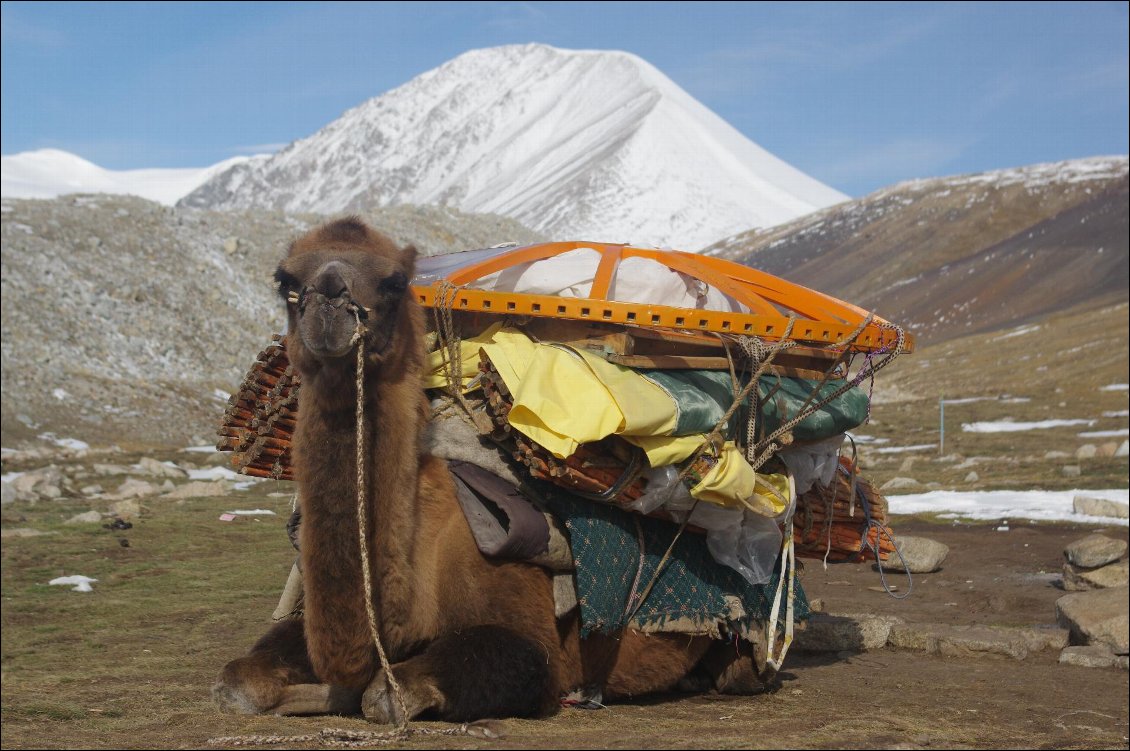 Couverture de L Altai qui compte (Russie/Mongolie)