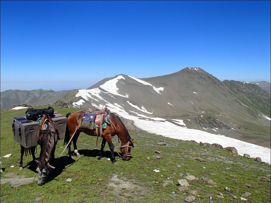 Longues chevauchées au Kirghizstan. Photo JC Rappo