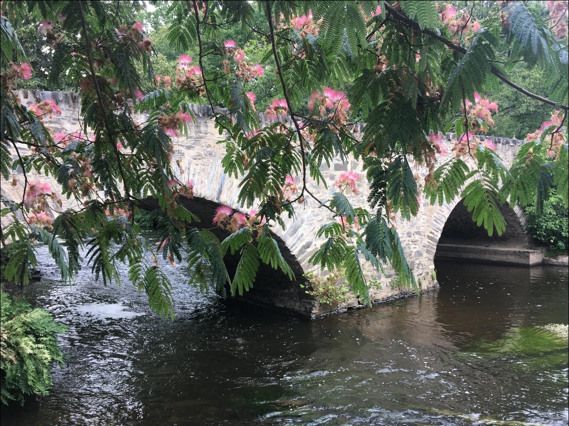 Le Pont du Saillant