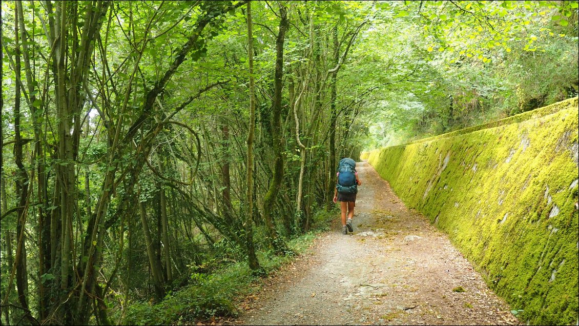 J31 : en longeant le canal avant St Girons