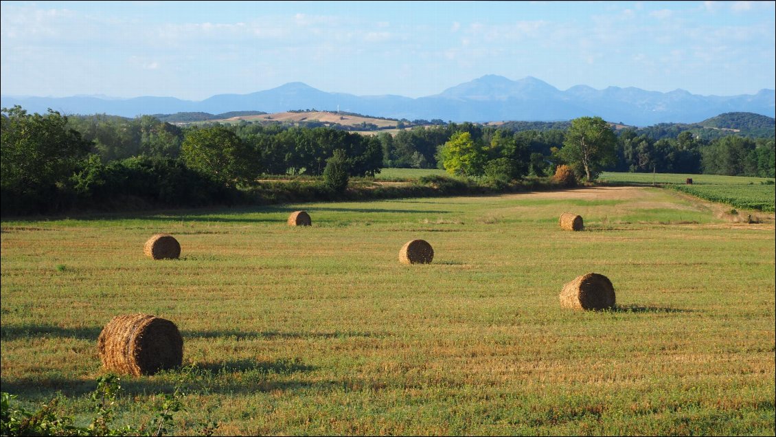 J35 : les montagnes semblent bien loin vers Mirepoix