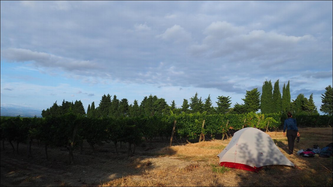 J36 : bivouac dans les vignes