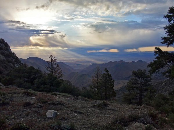 PCT