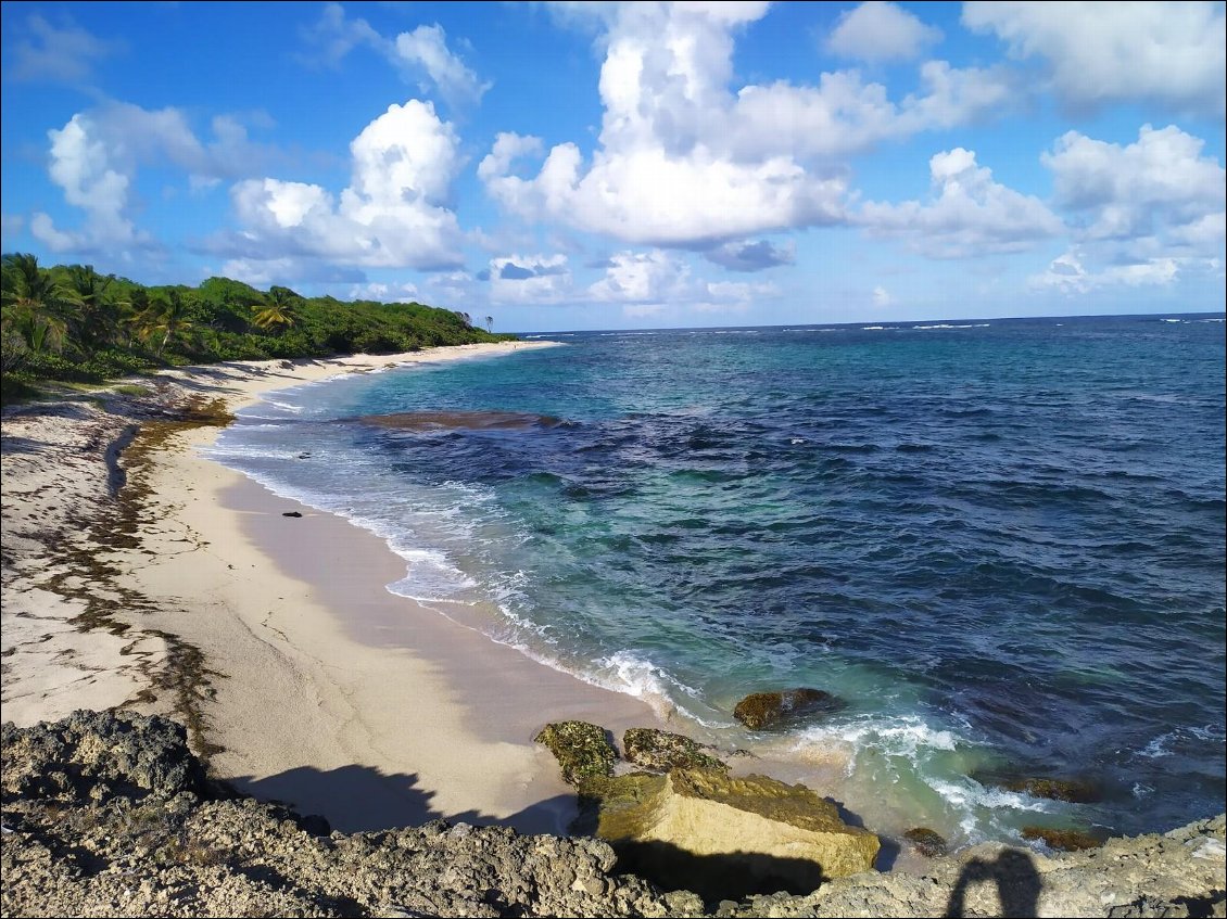 Les plages désertes pendant le confinement