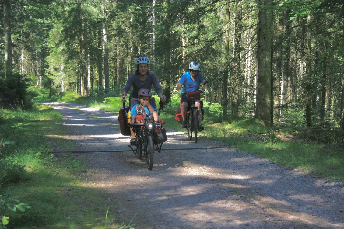 J2 : la forêt du Fossard (Vosges) nous protège de la chaleur