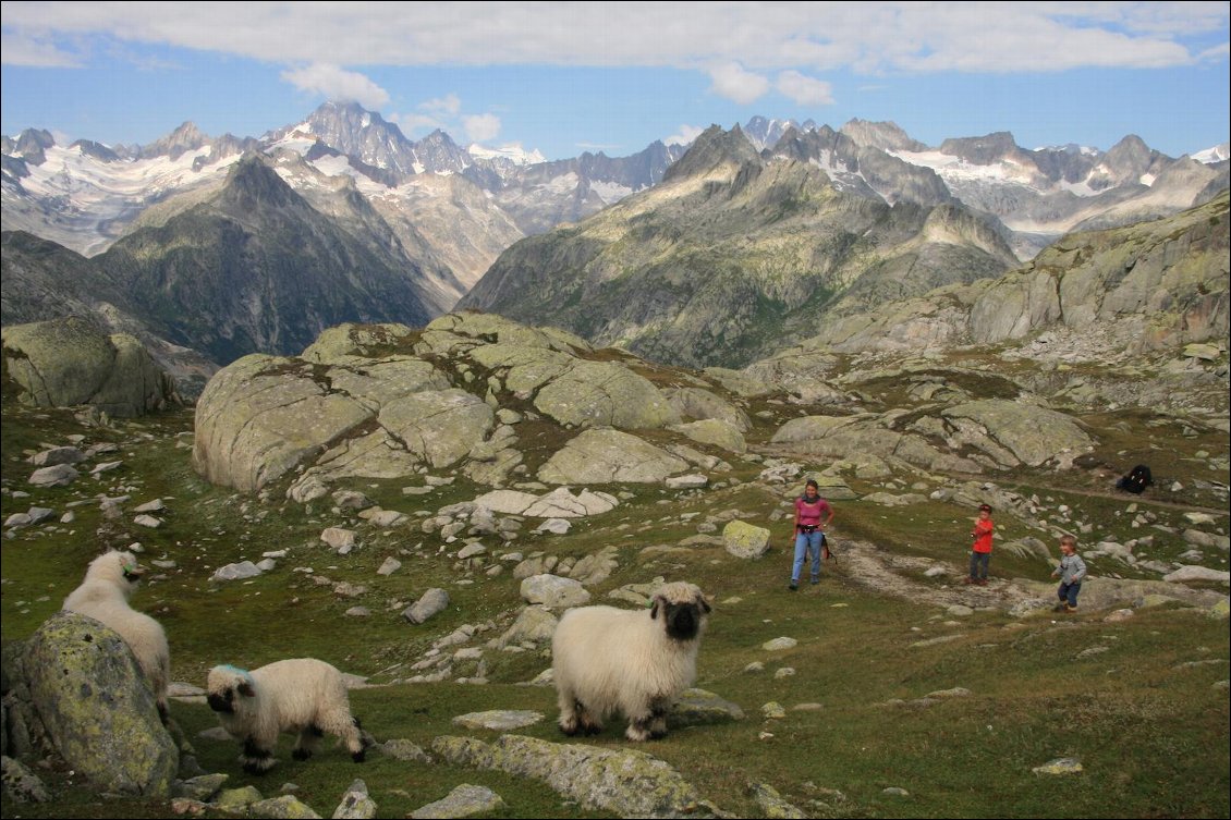 J15 : rando au départ du Grimselpass