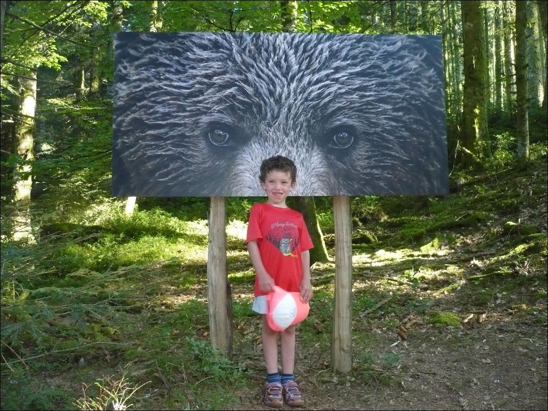 Entre J1 et J2 : passage à l'expo photo au Haut-du-Tôt dans les Vosges