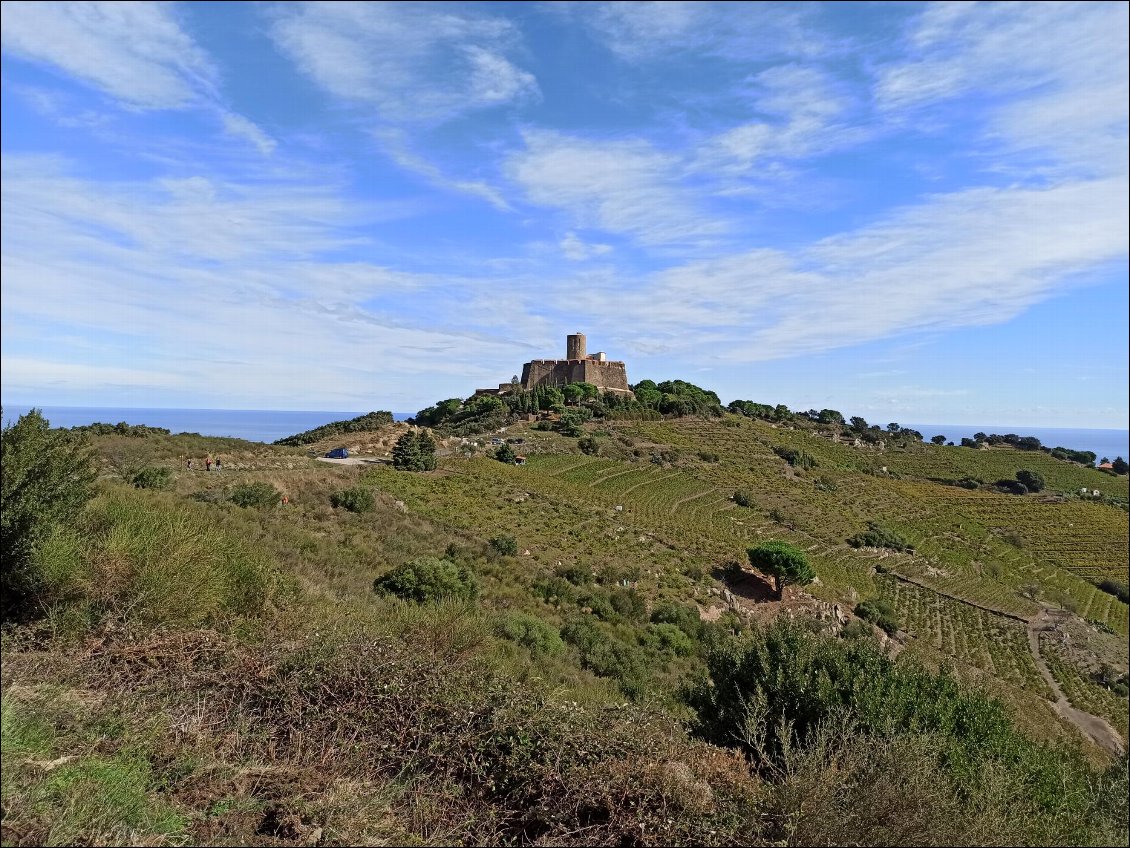 Le Fort St Elme est le premier fortin rencontré en montant de Collioure. 