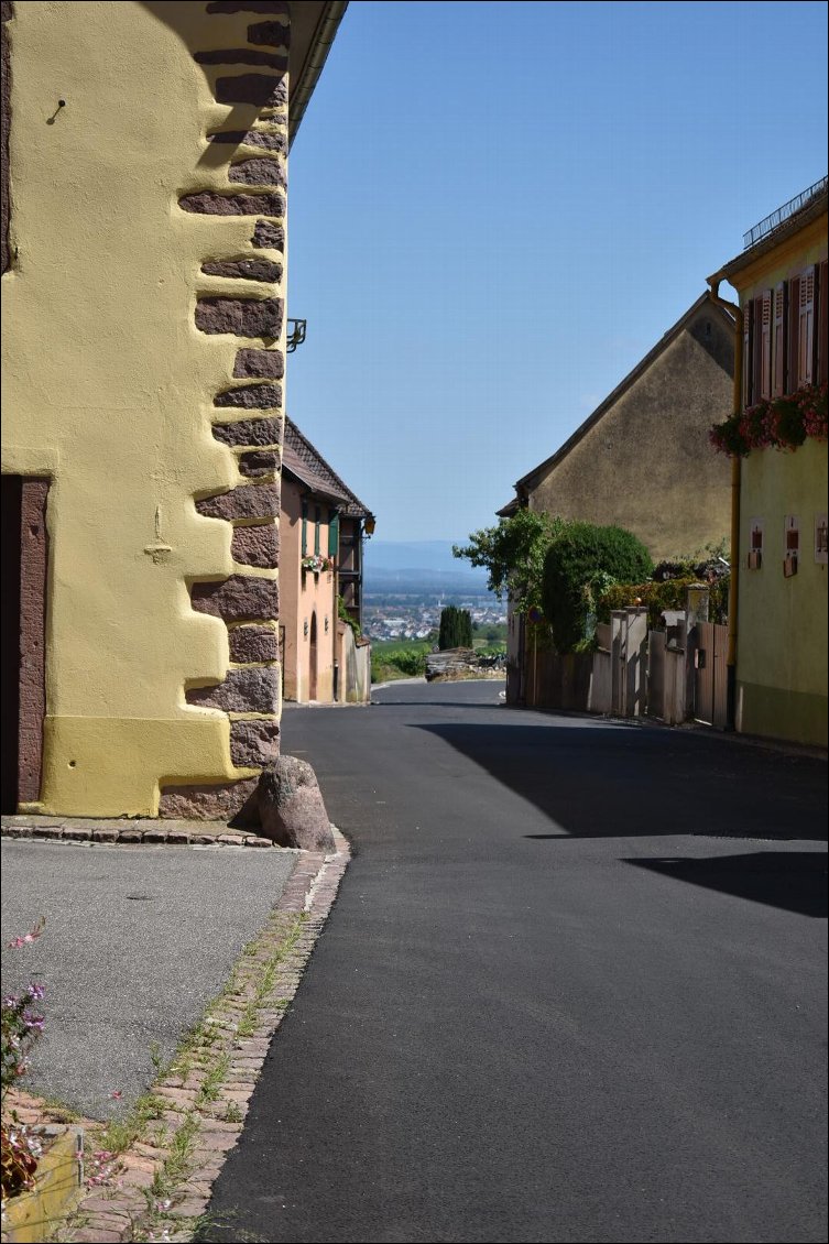Là en bas on été le matin! Colmar et la plaine d'Alsace.