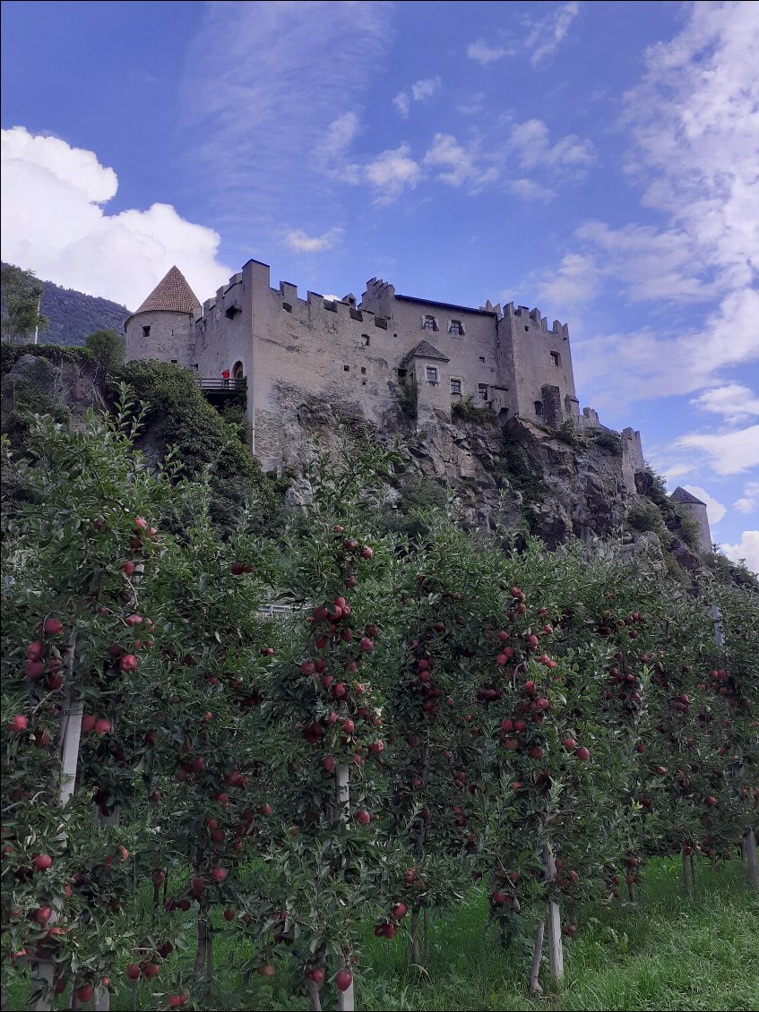 Château médiéval et vergers de pommes.