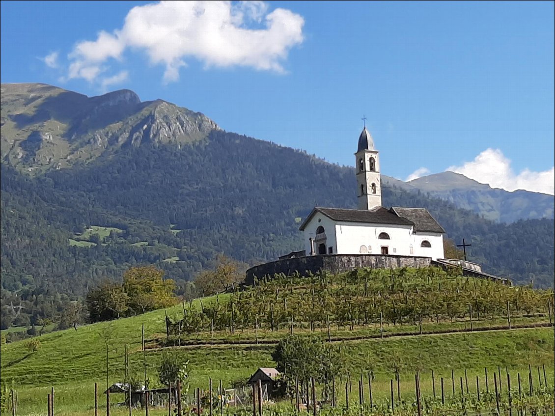 La chapelle protège le vignoble.