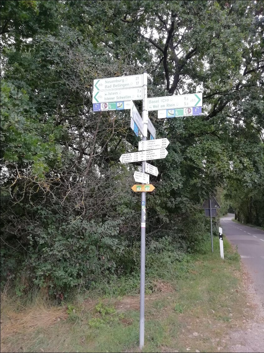Section