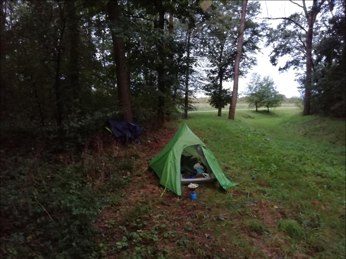 Section