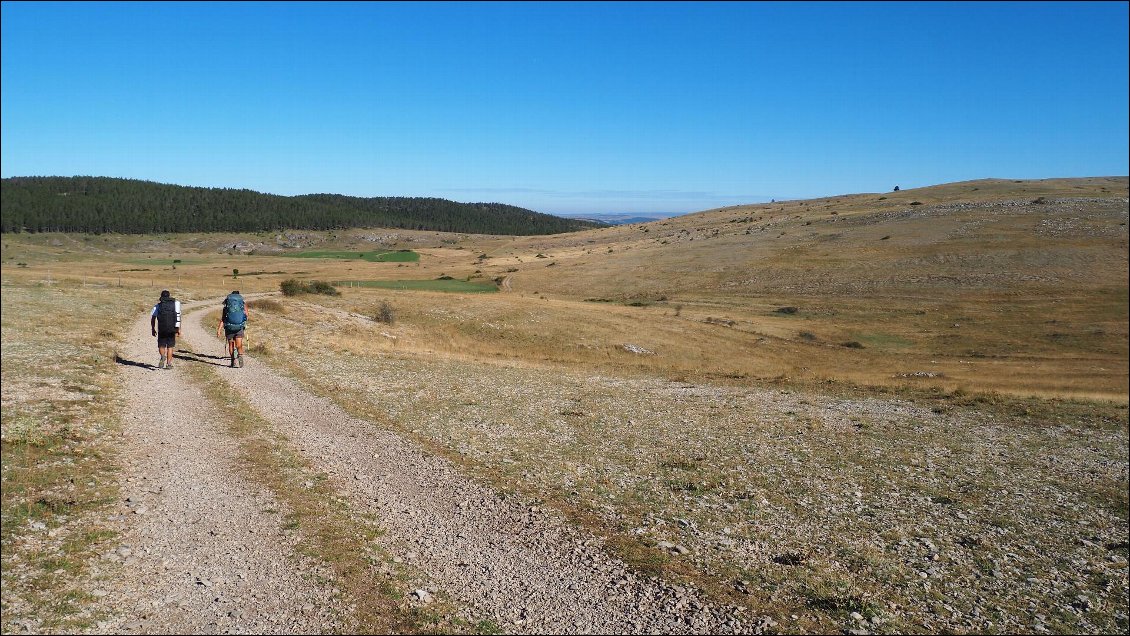 J55 : l'immensité du causse Mégean
