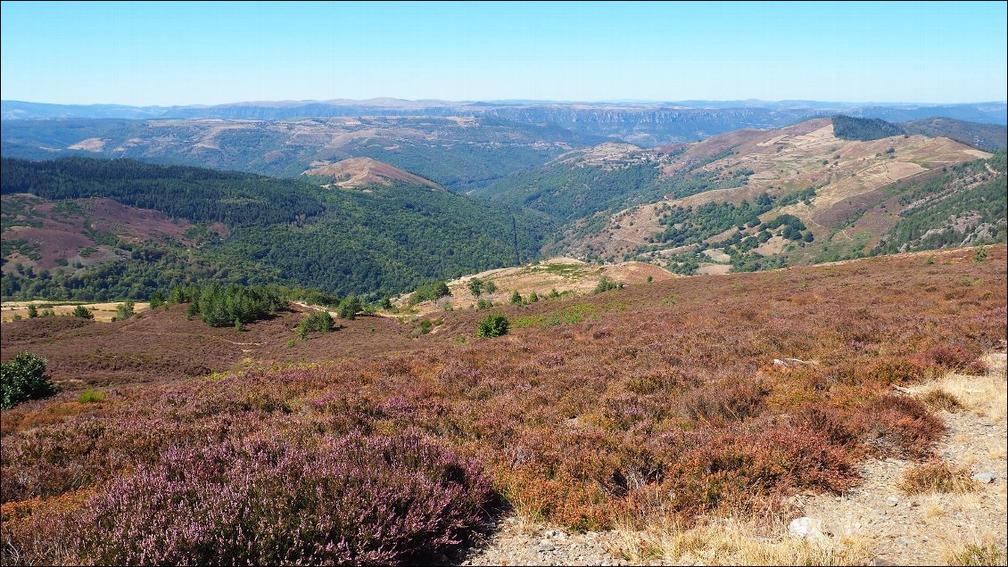 J55 : la folle montée dans les Cévennes