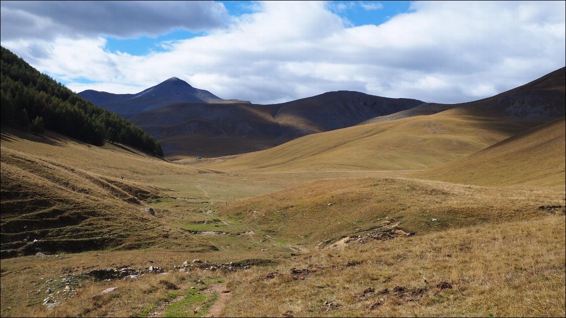 J78 : Les alpages près du refuge de Longon.
