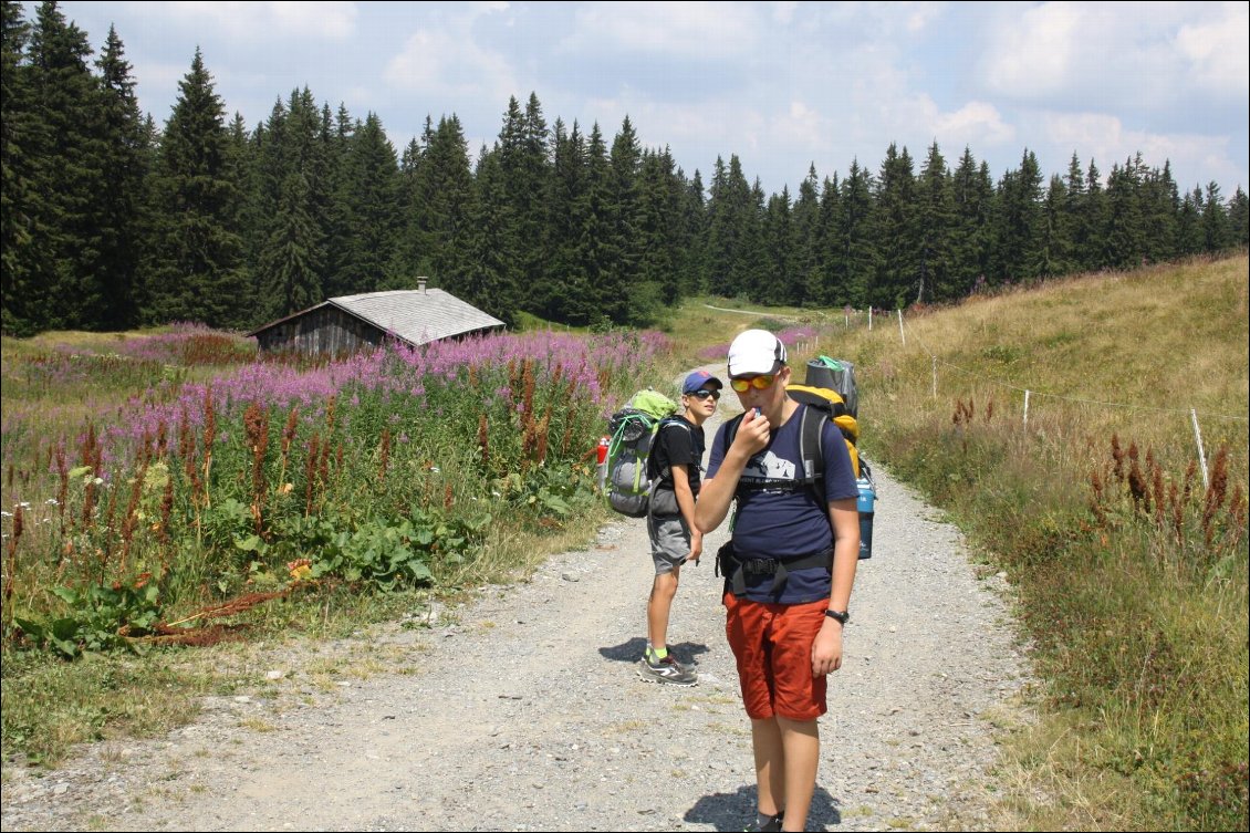 Après 10kms et 1200m D+ une petite pause près de l'abri de La Palette sur le haut des Saisies