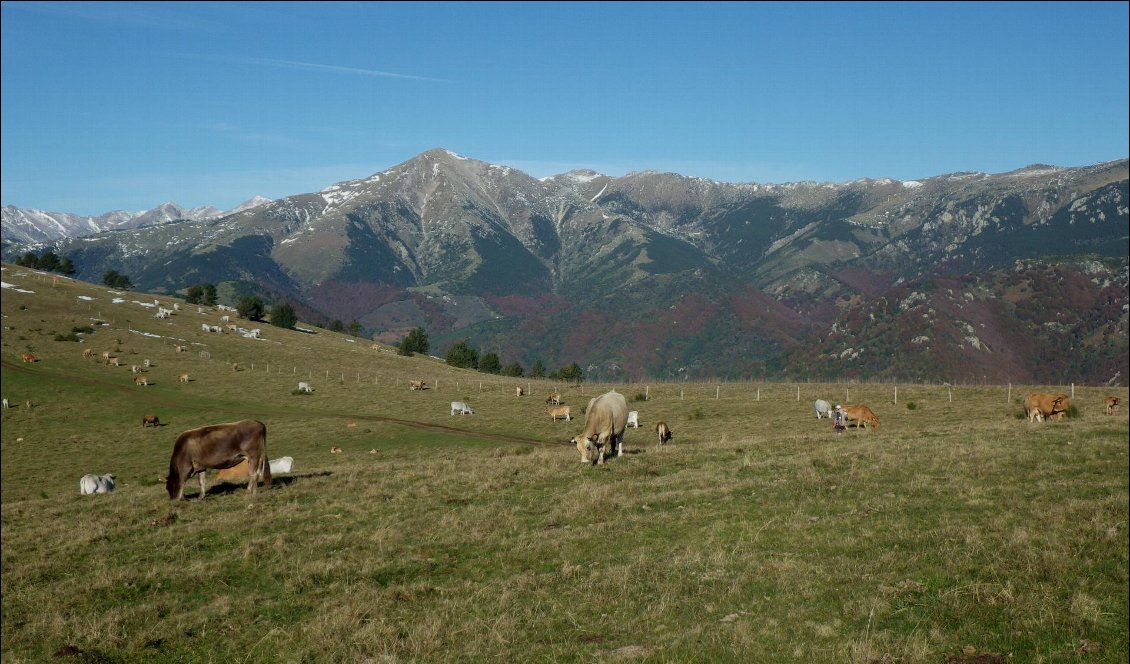 Sur la crête frontière