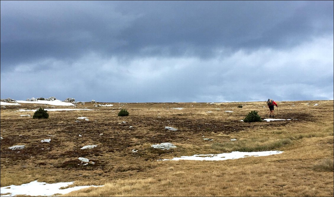 Près de la Cime de Pomerola