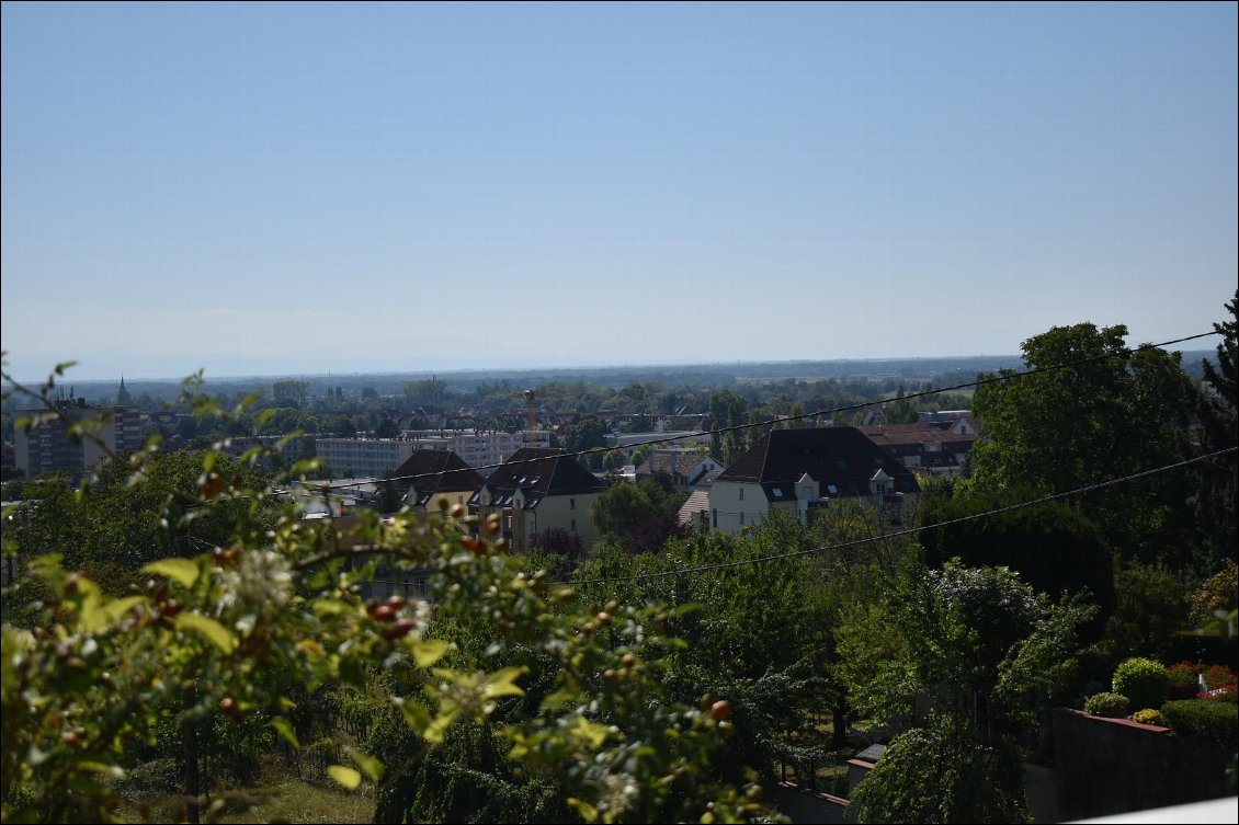 Les hauteurs d'Obernai.