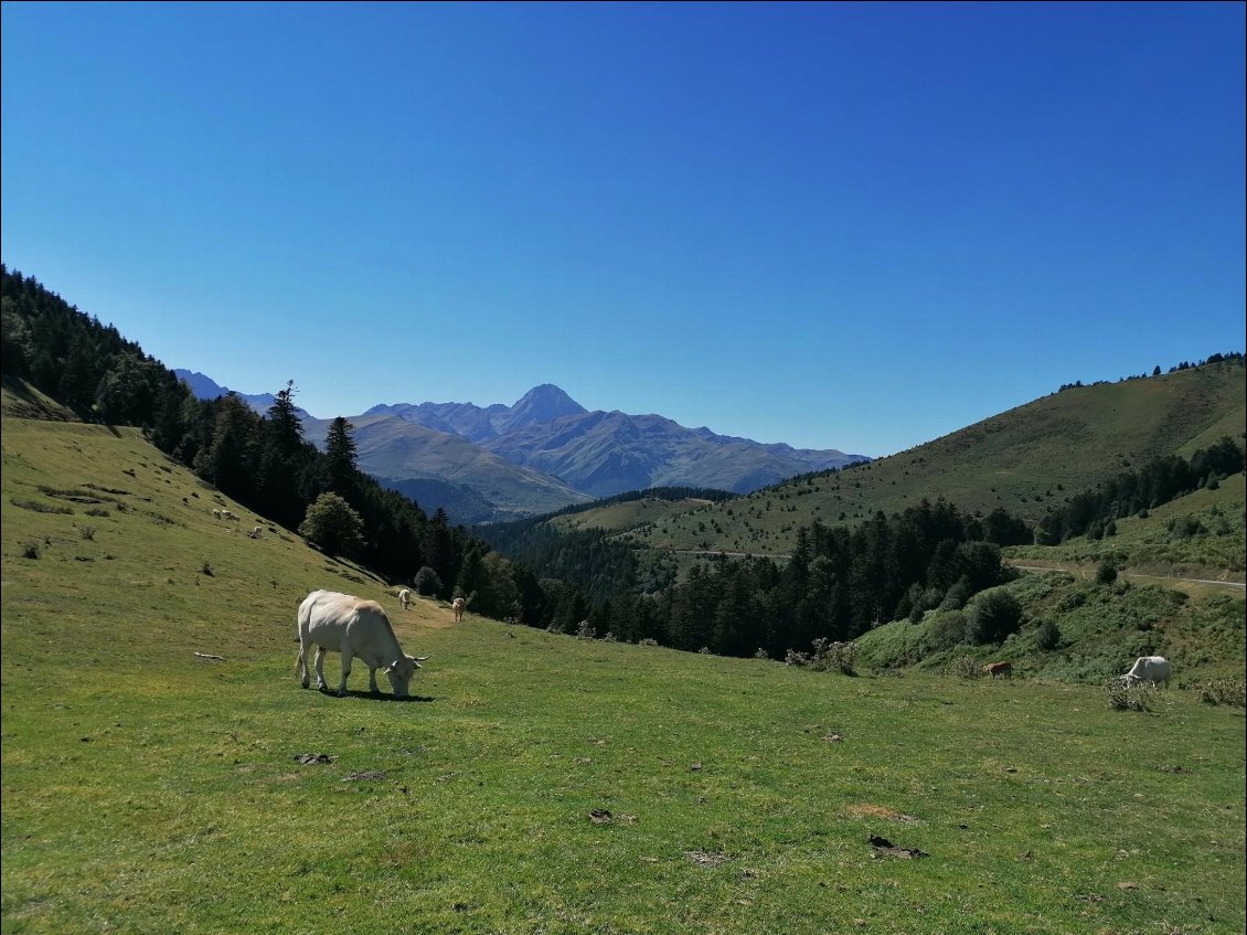 J5 : en haut du col d'Aspin, col magnifique, montée dans la forêt et paysage très calme en haut