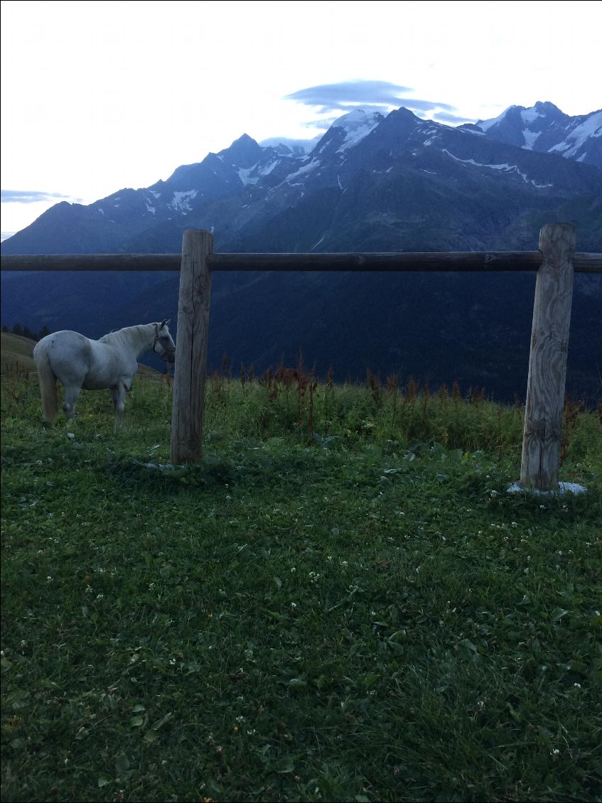Magnifique sur le Mont Blanc à 6h30 du matin aprés une nuit de pluie
