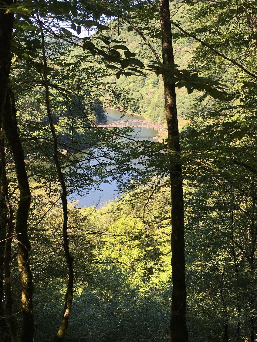 Belle vue sur la Dordogne