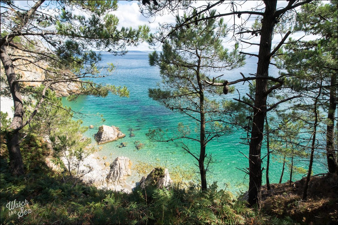 L'endroit parfait pour se remettre à l'eau.