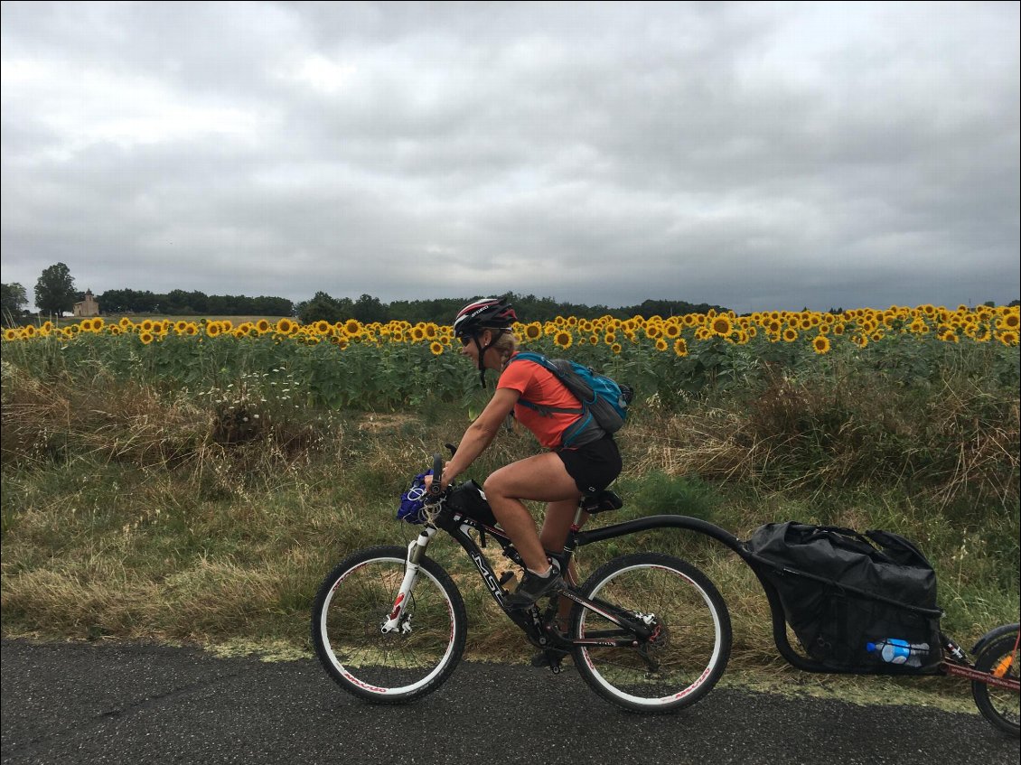 Si Van Gogh avait pratiqué la cyclorando, il en aurait fait un tableau...