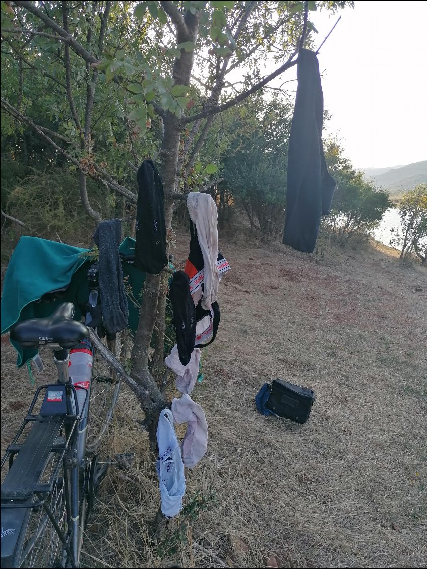 J14 : l'arbre à chaussettes à Salagou