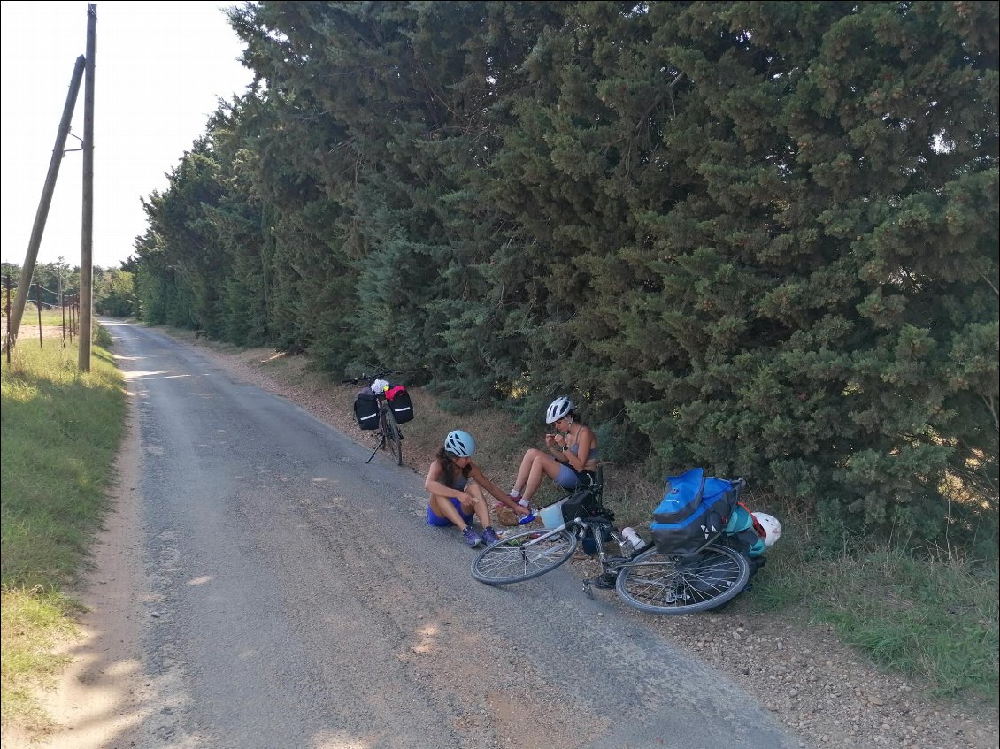 J16 : petite pause gouter dans les Alpilles