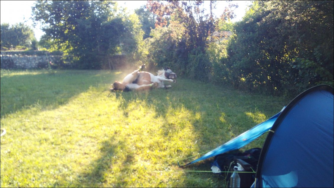 Couverture de A cheval en France - 2018