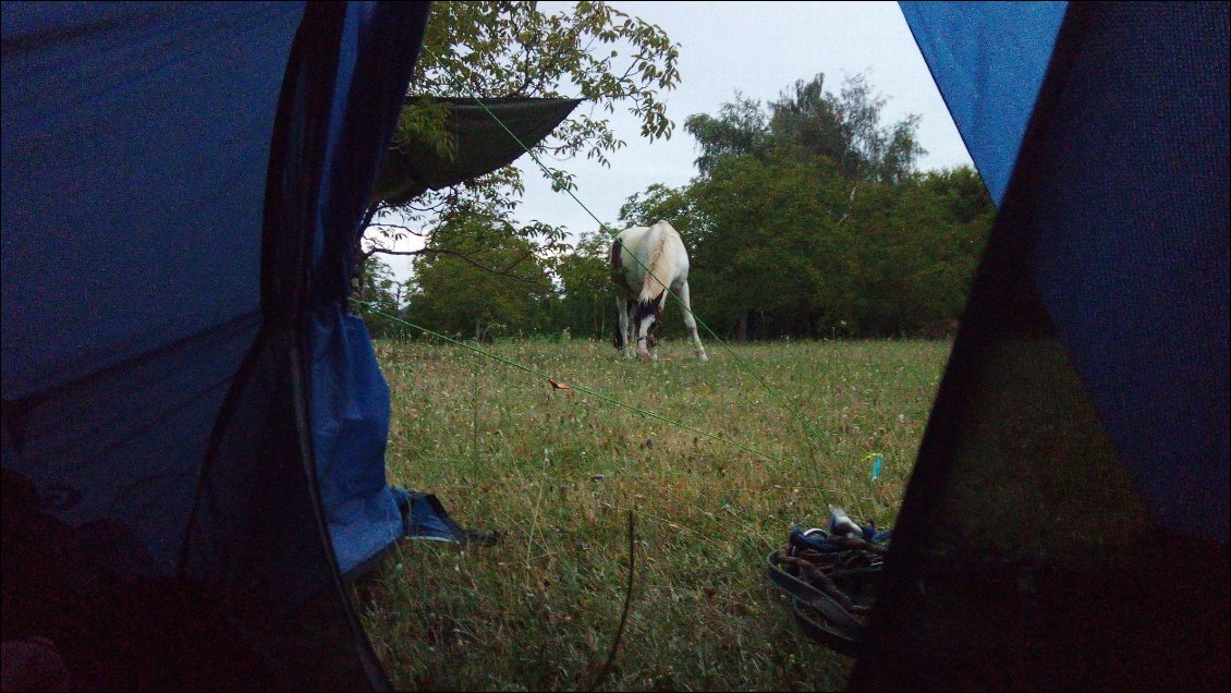 Le calme au bivouac, chez l'habitant, près de Brantôme