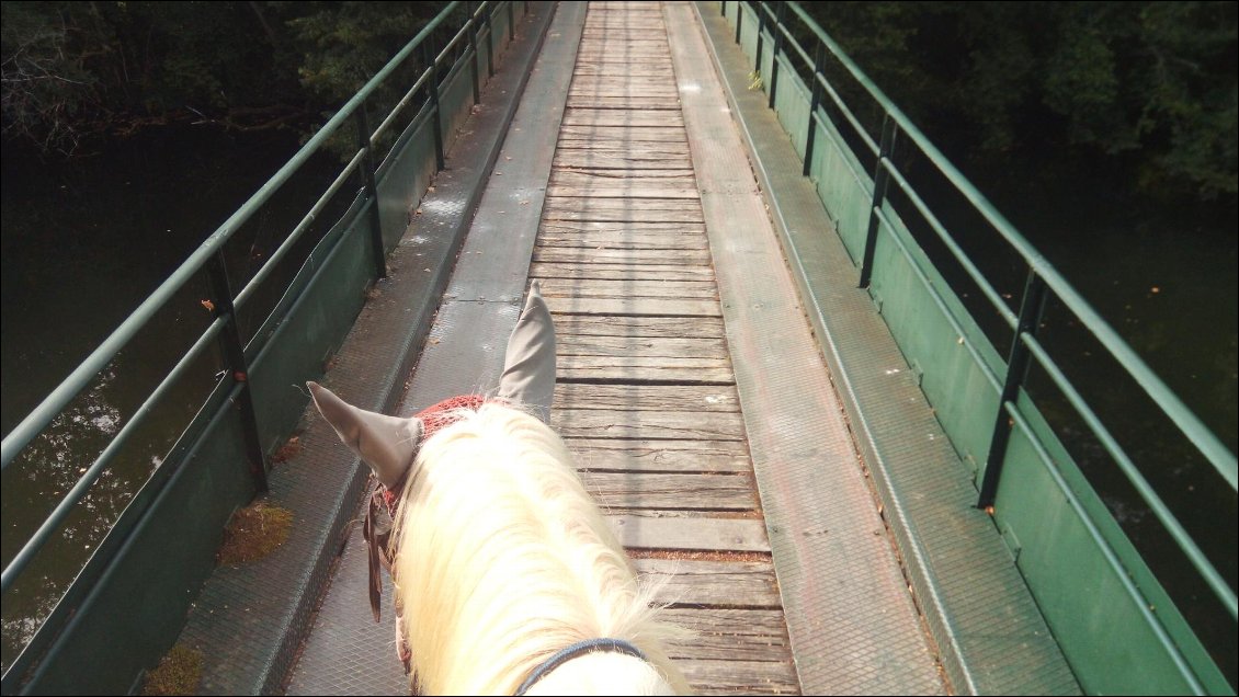 Le genre de pont qu'on aime pas : étroit, métallique (résonnance) et glissant. Heureusement le bois bien sec rendait le milieu plus sécurisant