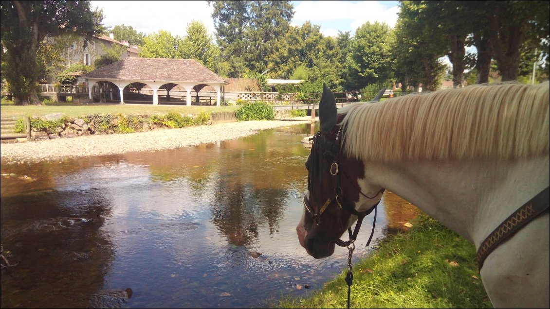 Une pause rafraichissante, on y a même mis les pieds à l'eau !