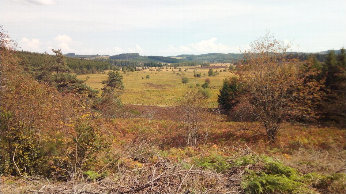 La Tourbière du Longeyroux