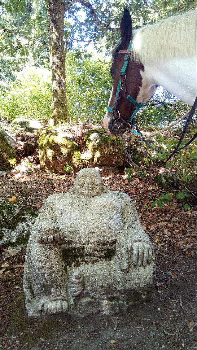 Un petit habitant du village