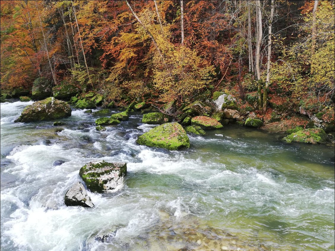 Belles couleurs dans les Gorges de la Bourne (Vercors)