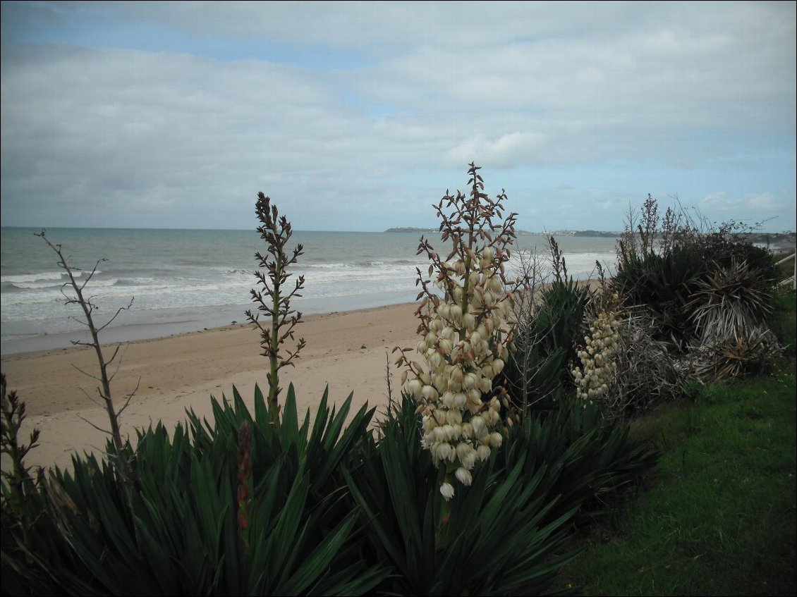 Plage de Jullouville