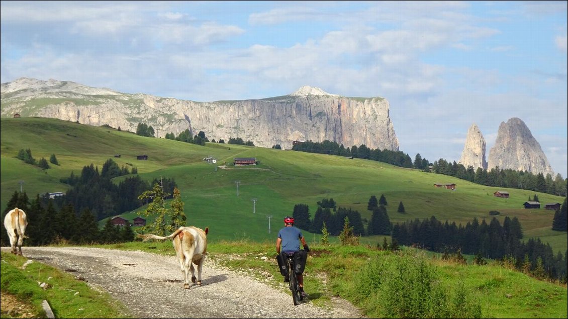 Les Dolomites - Alpe di Siusi @dodosoustente