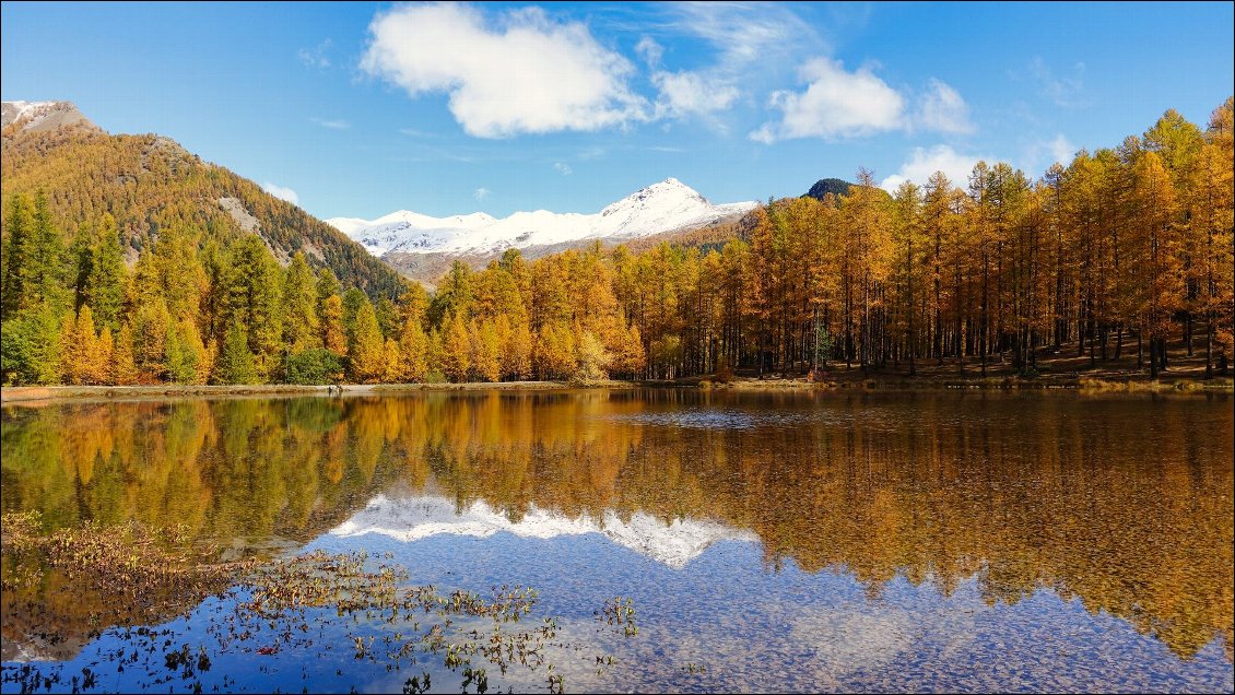 Miroir parfait au lac de Roue au-dessus de Château-Queyras.
Le Queyras en parure automnale est vraiment superbe !