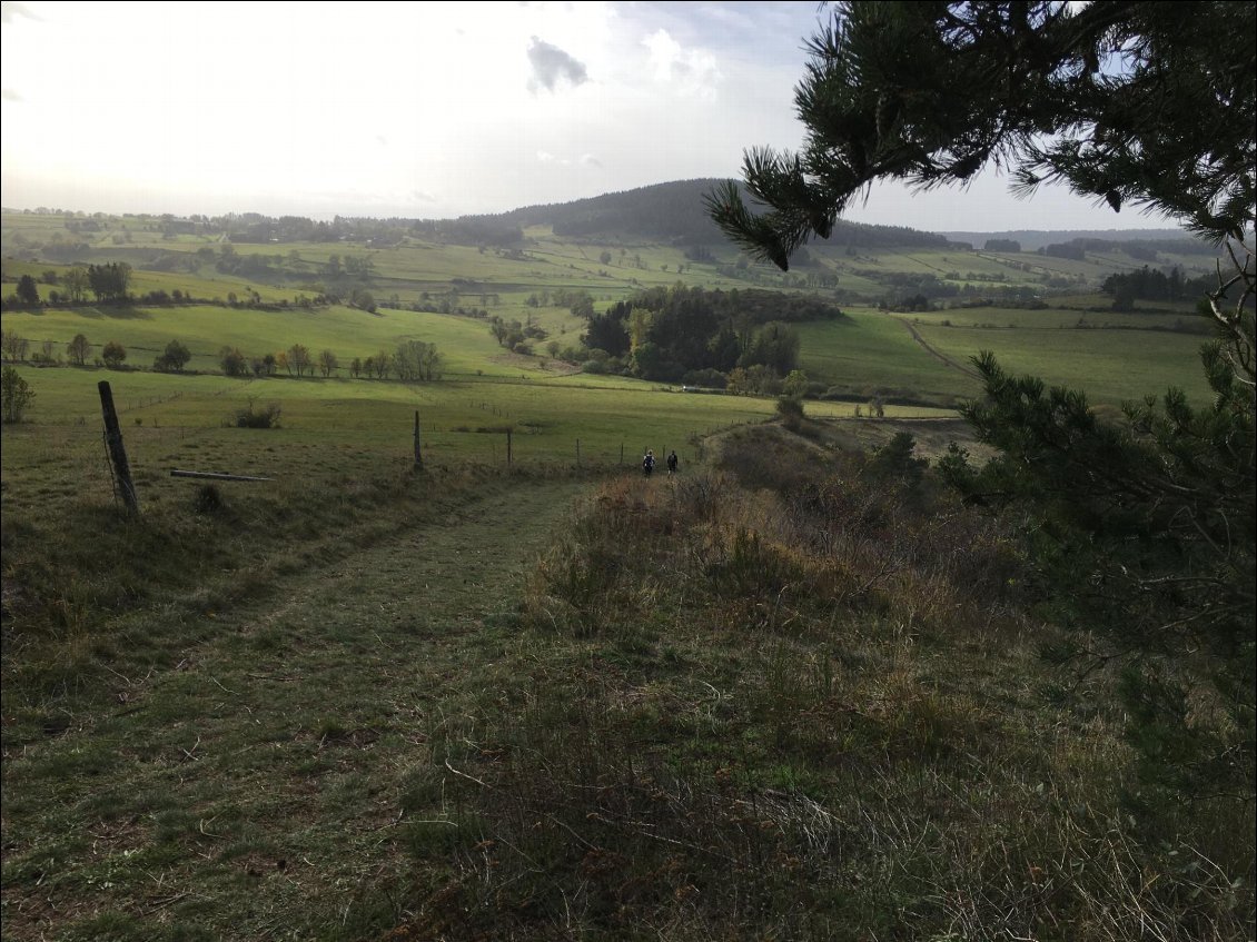 Couverture de Sancy : rando trail 3 jours