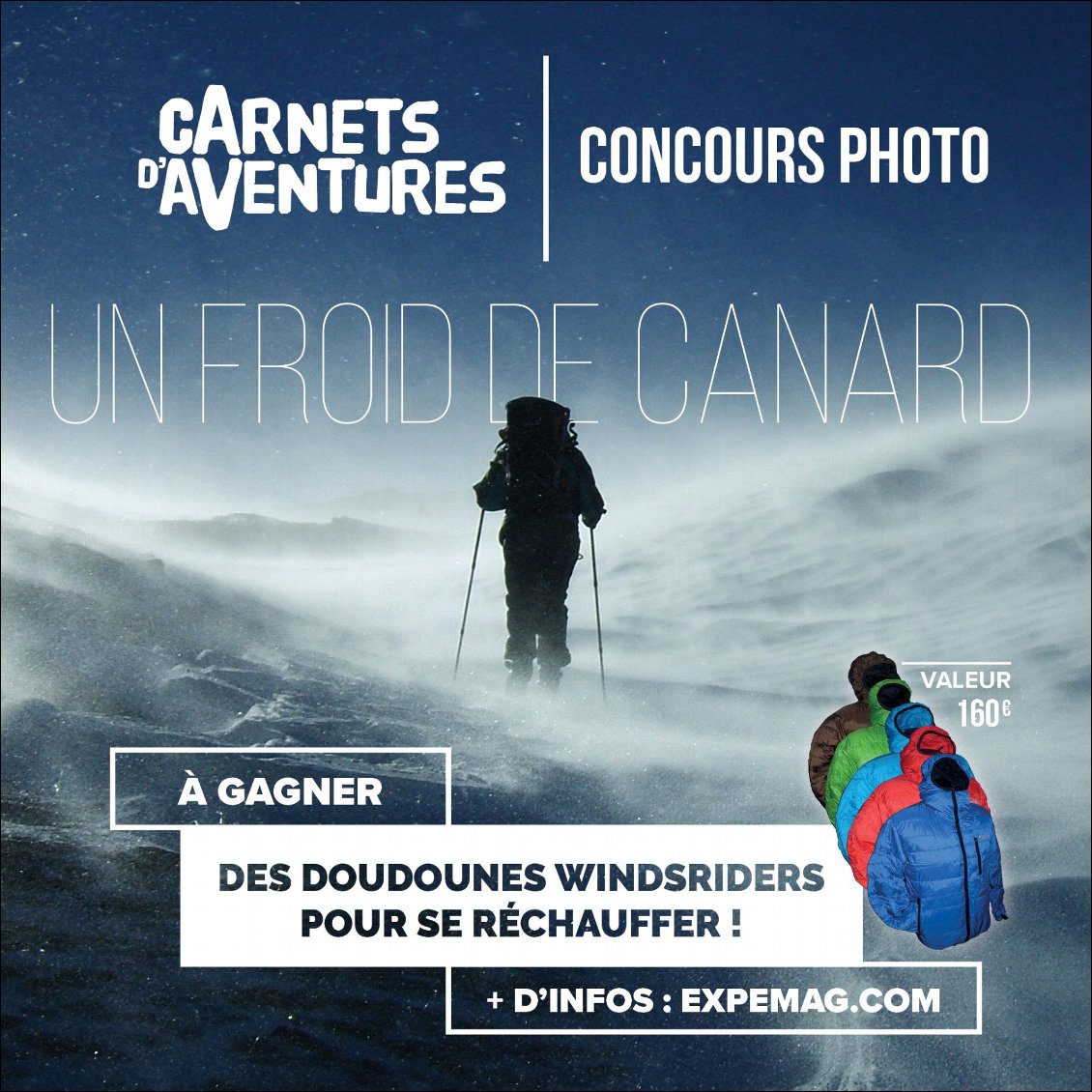 Concours photo Un froid de canard !