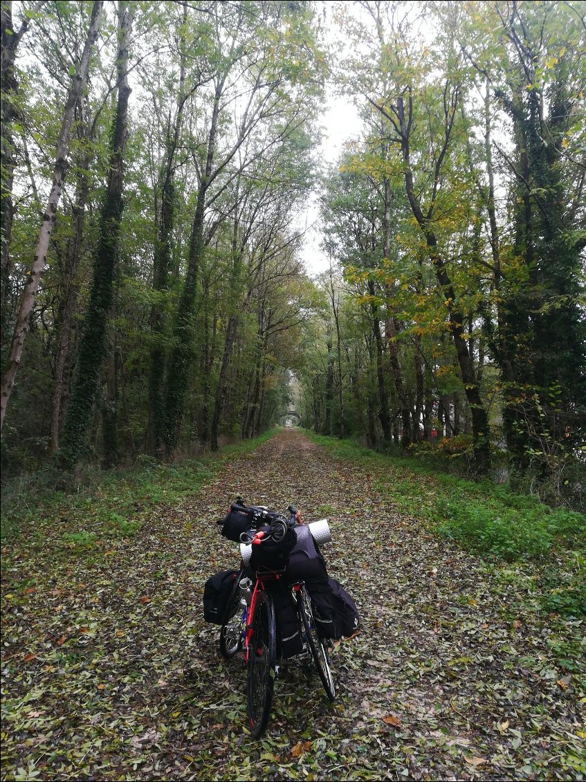 Pause sur la route. Les feuilles recouvre toute la piste, nous sommes dans une ambiance d'automne.