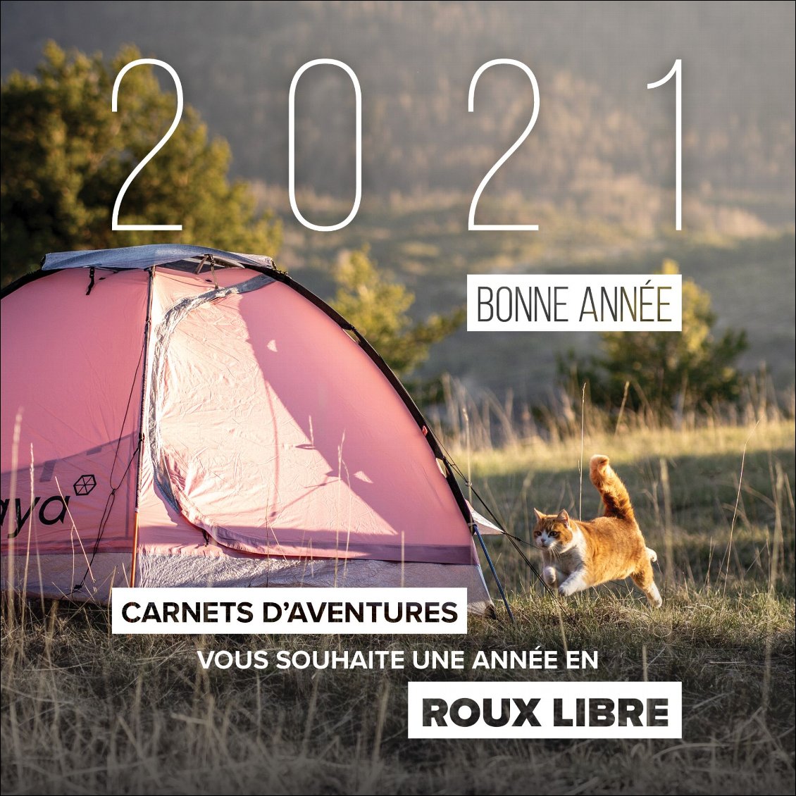 bonne-annee-2021