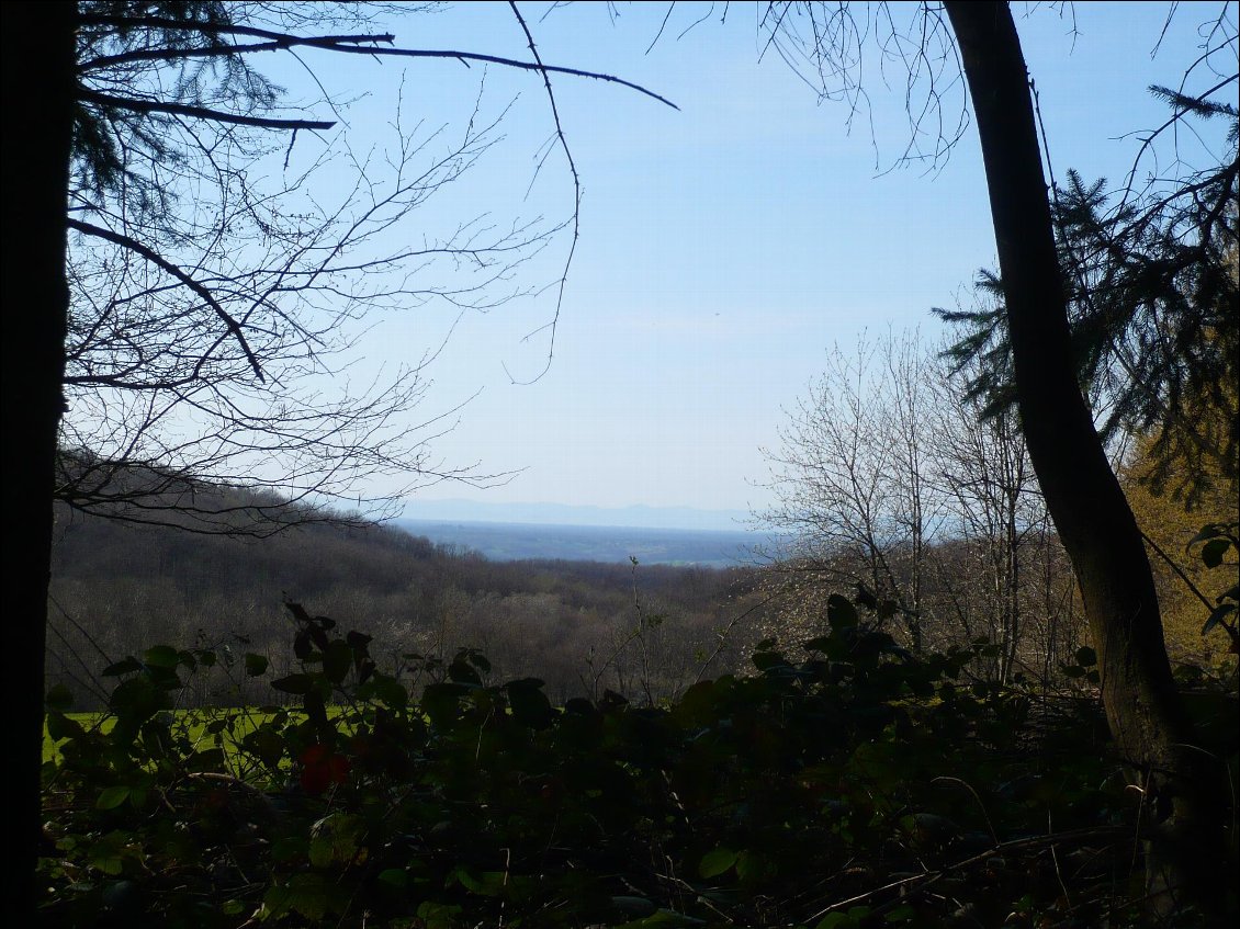 Les monts du Beaujolais au loin, avec la Dombes entre les deux